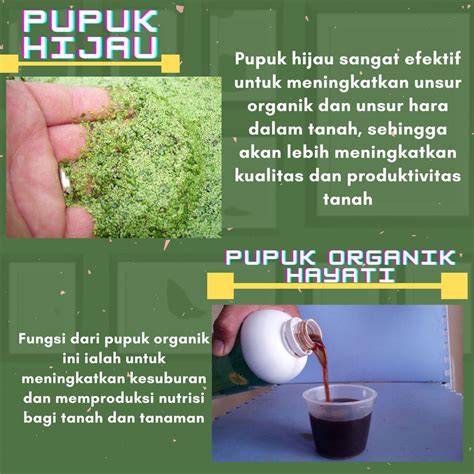 Contoh Pupuk Organik Adalah In Indonesia Picture