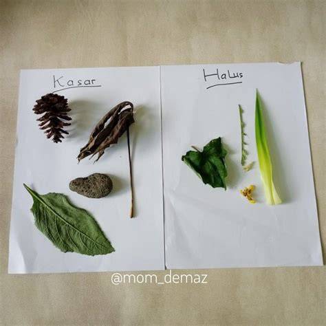 Contoh Tekstur Kasar dan Halus