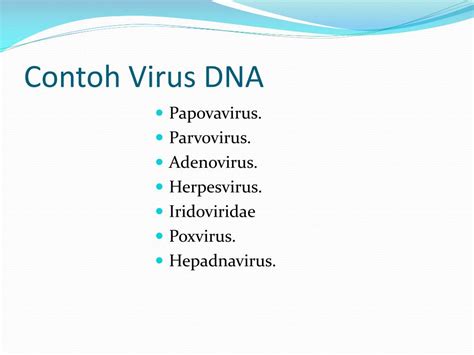 Contoh Virus DNA