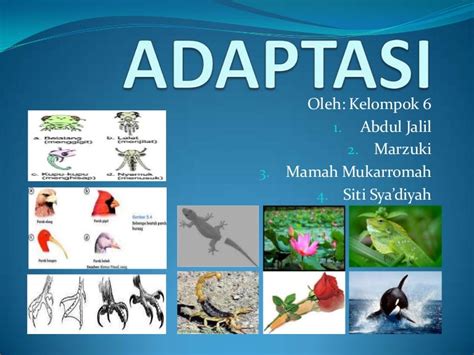 Contoh-contoh Adaptasi Morfologi