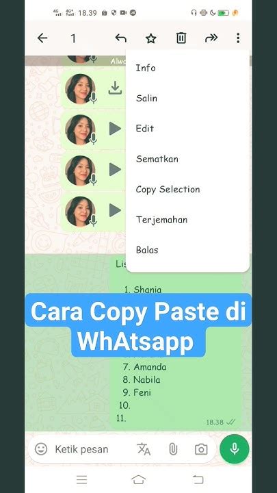 Copy Paste WA