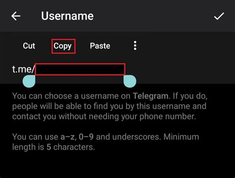 Copy Telegram Username