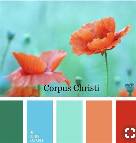 Corpus Christi Color Scheme