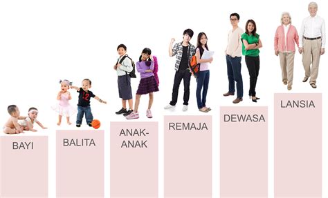 Cortex Selama Masa Kehidupan Bayi dan Anak-Anak