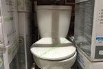 Costco Toilets for Sale