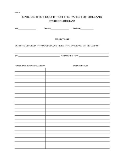 Court Evidence Template
