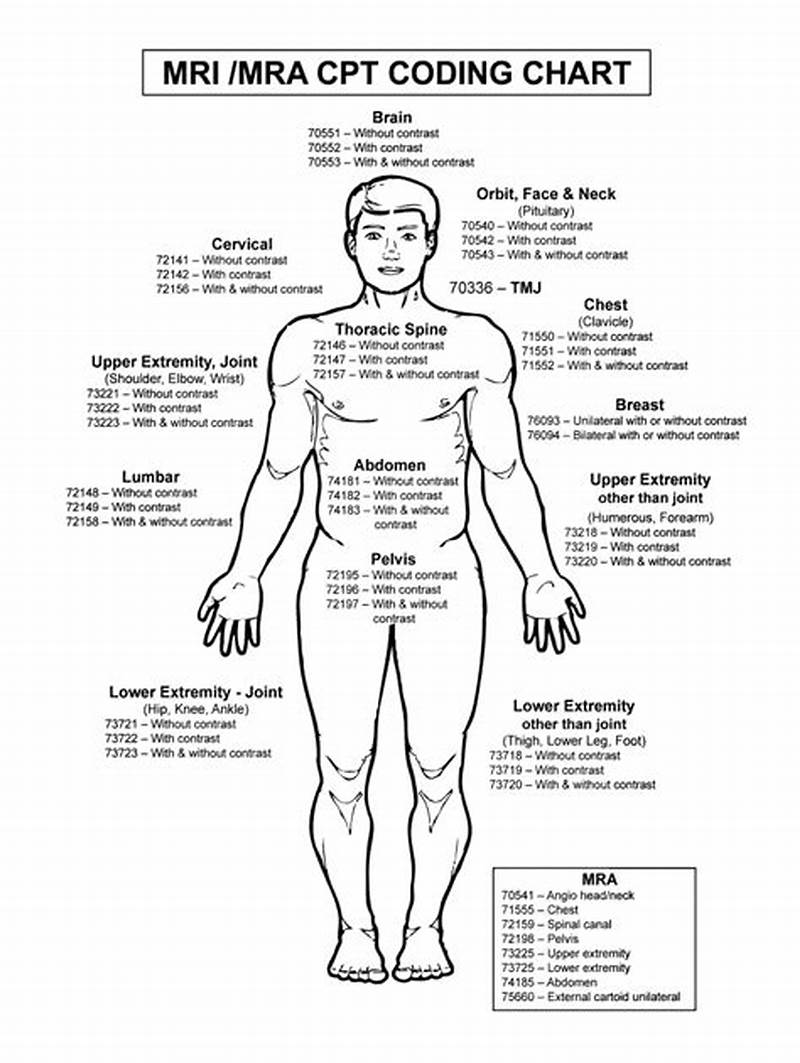 Cpt Code For Chart Review Only