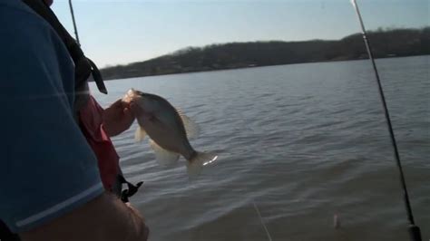 Crappie Fishing Techniques