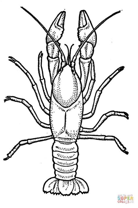 Crawfish Printables