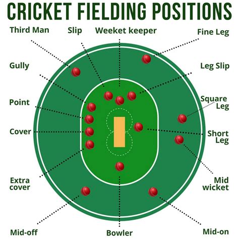 Cricket Fielding Positions Chart
