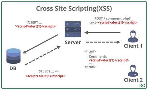 Cross Site Scripting