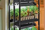 DIY Indoor Vegetable Garden