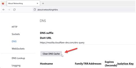 DNS Cache Problem