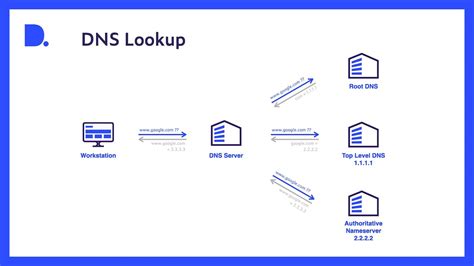 DNS Lookup