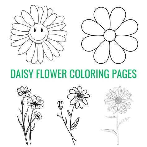Daisy Coloring Pages Printable