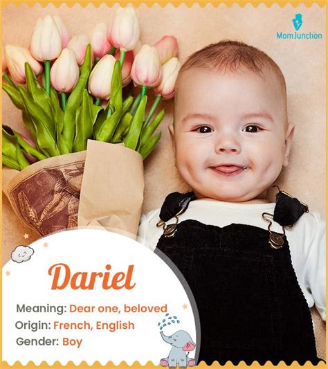 Dariel Collin