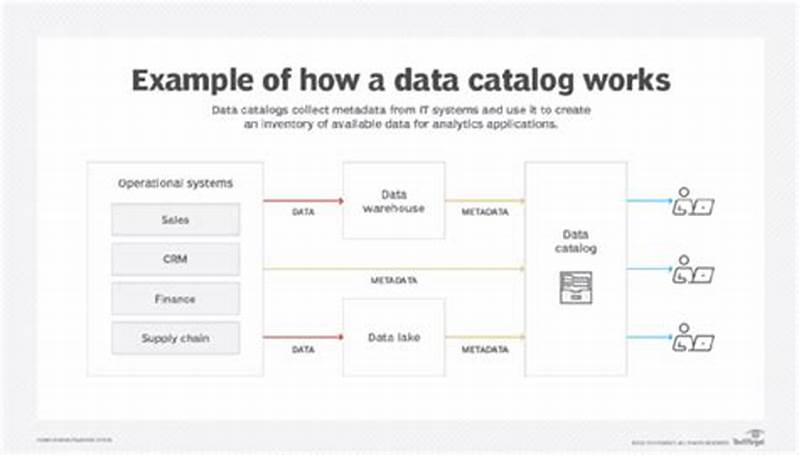Data Entity Data Component Catalog Sample