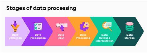 Data Processing Steps