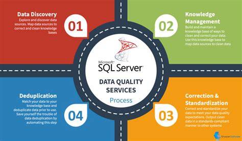 Data Quality Services