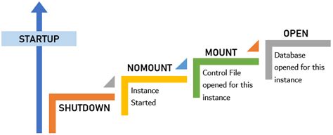 Database startup
