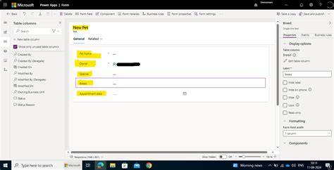 Dataverse FormXml Error