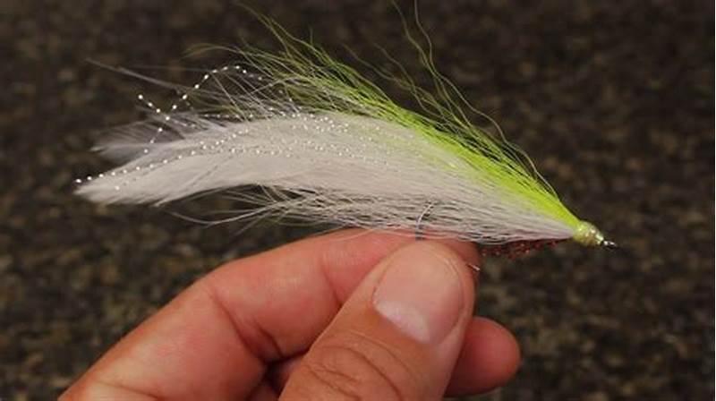 Deceiver Fly Pattern