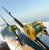 Deep Sea Fishing Rod