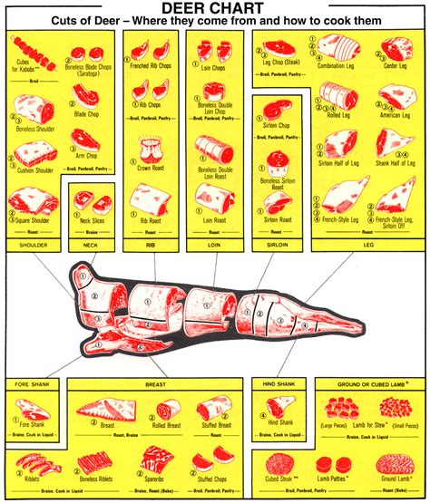 Deer Cuts Chart