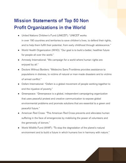 Defining the Purpose of a Non-Profit Organization: Beyond the Mission Statement