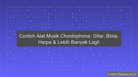 Definisi Chordophone