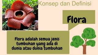 Definisi Flora