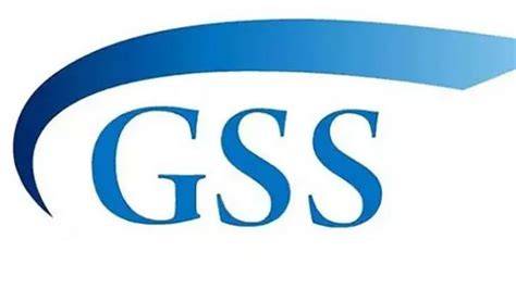 Definisi GSS: Lebih dari Sekadar Staf Pendukung