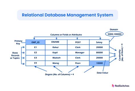 Ilustrasi tentang definisi RDS