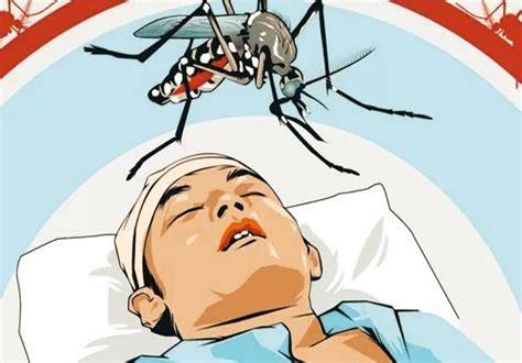 Waspada! Kasus DBD di Kota Bima Melonjak, Sudah 92 Orang Kena!