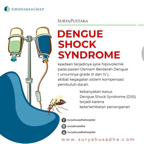 Dengue Shock Syndrome