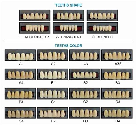 Denture Tooth Color Chart