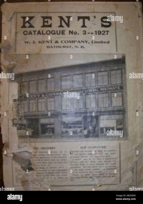 Department Store Catalogue