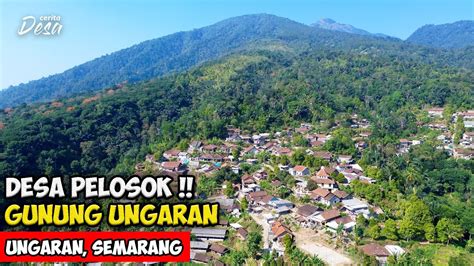 Desa Pelosok