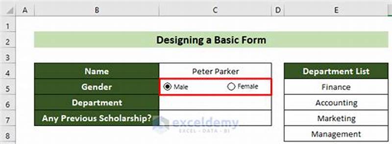 Design Form Excel