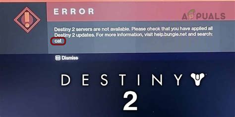 What Causes Destiny 2 Error Code CAT?
