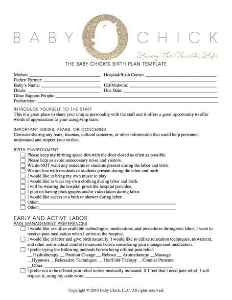 Detailed Birth Plan Template