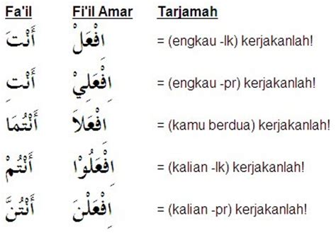 Dhamir Fi'il Amar
