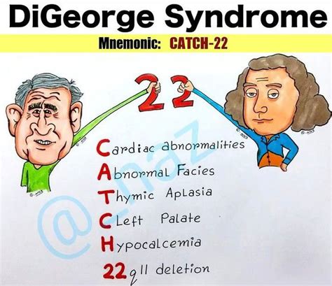 DiGeorge Syndrome