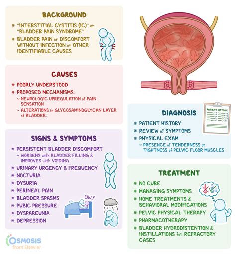 Diagnosis Cystitis