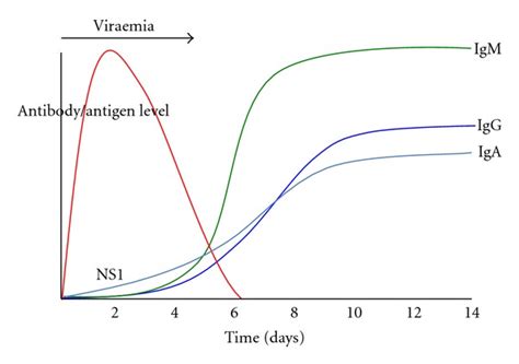 Diagram Perbedaan Waktu Deteksi NS1, IgM, IgG