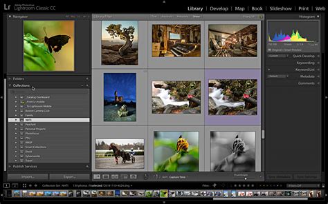 Difference Between Catalogue And Collection Lightroom