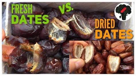 Difference Between Dried and Fresh Dates