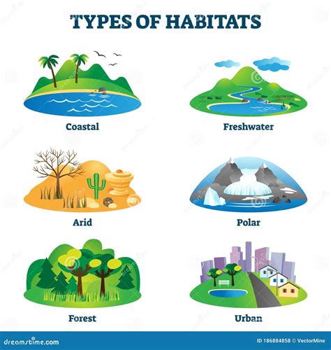 Different habitat types illustration