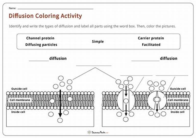 Diffusion Coloring Activity