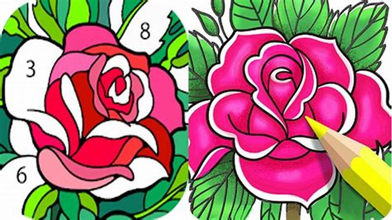 Digital Coloring Programs